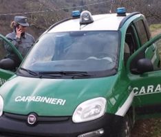 Carabinieri Forestale, sequestrate 20 tonnellate di pellet contenente sostanze molto pericolose