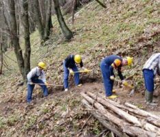 Forestazione, la Provincia anticipa le spettanze