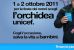 L’Orchidea Unicef, l’1 e 2 ottobre in tutte le piazze sannite