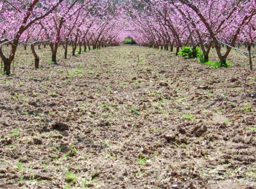 Immagini del Sannio Rurale, presentati calendario e vincitori