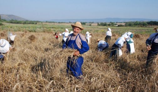 Festa dell’agricoltura dal 19 giugno a Squille