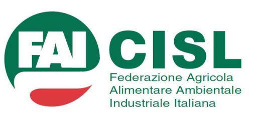 Fai Cisl: ‘Finito l’incubo dei forestali delle province’