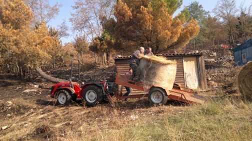 Gara di solidarietà per salvare cervi e cavalli