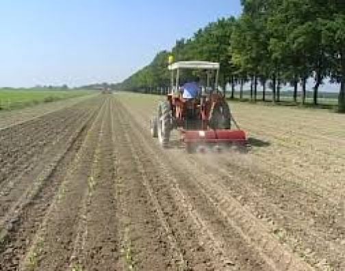 Inail, 45 milioni di euro alle piccole aziende del settore agricolo