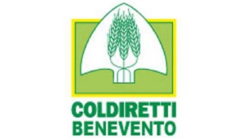 Aboliti i Voucher, Coldiretti Benevento: ‘Urgono nuovi strumenti’
