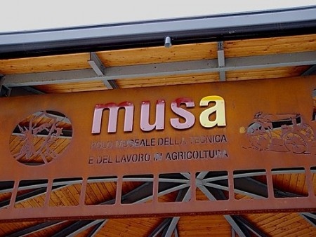 musa