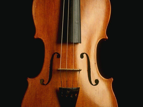 violoncello