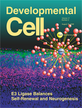 copertina_cell_con_studio_Iavarone[1]