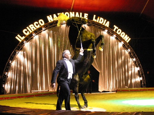 circo_togni