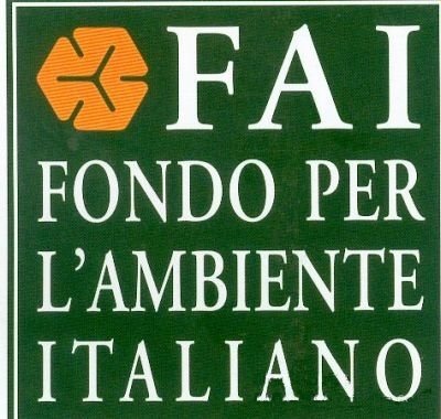 FAI_logo