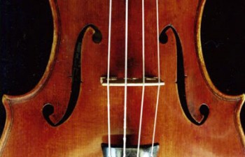 violoncello