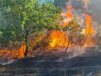 provincia-incendi-boschivi-3-1024x768