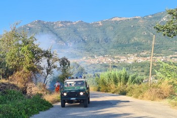 provincia-incendi-boschivi-8